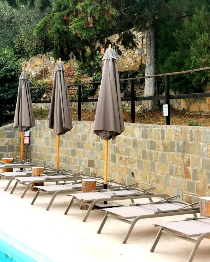 Agriturismo Osteria Du Barba Pe' - Casa Cassini Бордигера Экстерьер фото